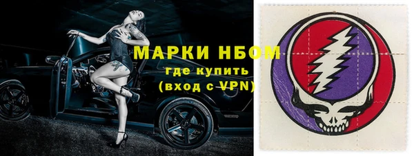 гашик Арсеньев