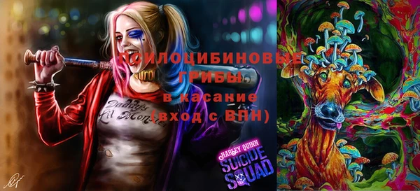 кокс Аркадак