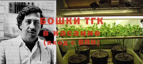 гашик Арсеньев