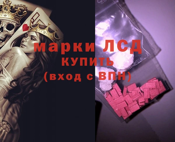 гашик Арсеньев