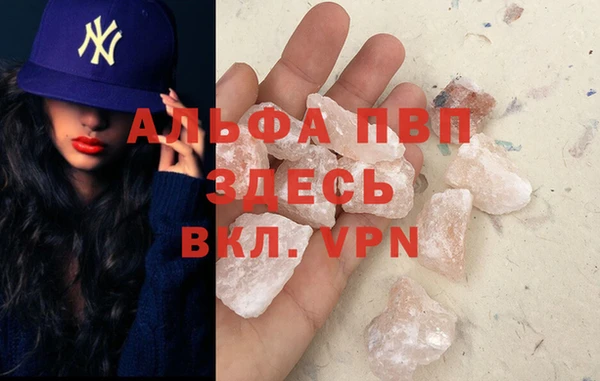 гашик Арсеньев