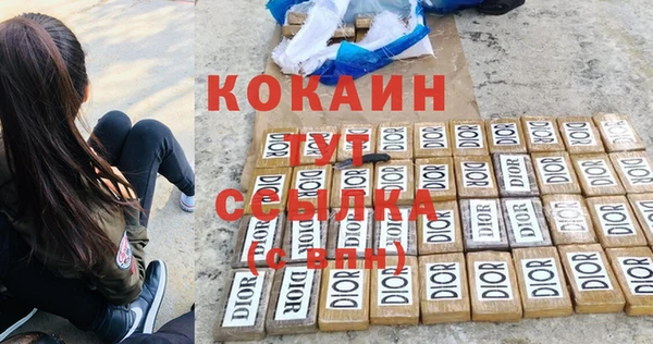 гашик Арсеньев
