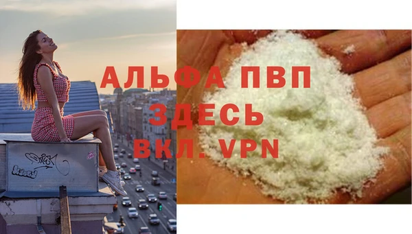 гашик Арсеньев