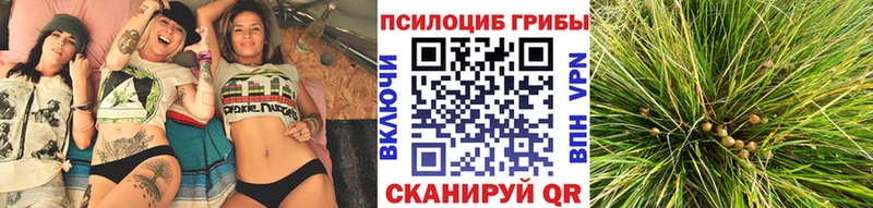 Псилоцибиновые грибы Psilocybine cubensis  Радужный 